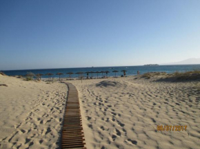  Sea shell  Плака